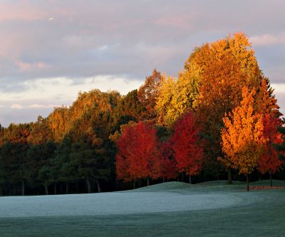 1st Place - First frost - Chris Oly