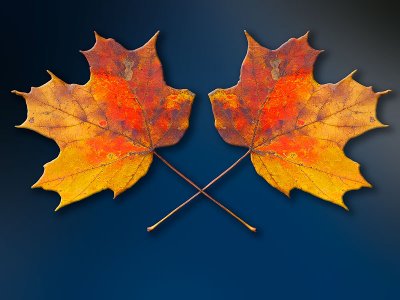 Autumn Crest by Paul Wear