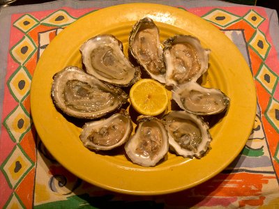 Oysters - Brad