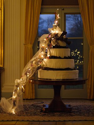 Christmas wedding cake - Geophoto