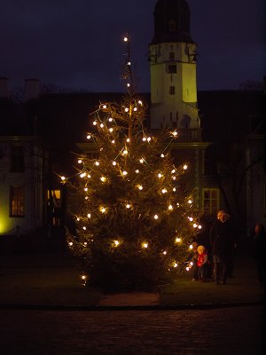 Basic christmas tree - Geophoto