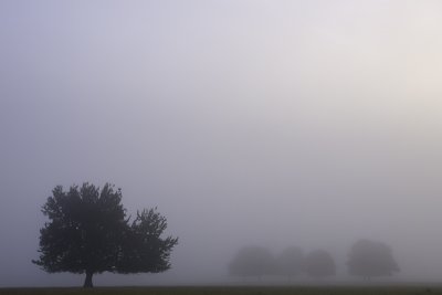 Autumn Mists, Alistair