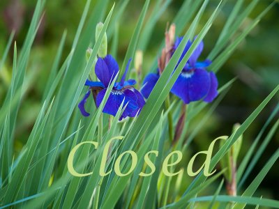  Closed