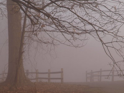 Fog on the hill  -ArtP