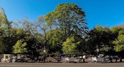 Five Rides; Dublin Morning - Salskov