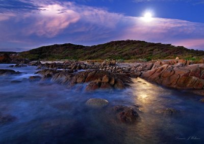 Moonlight at the cape by Dennis