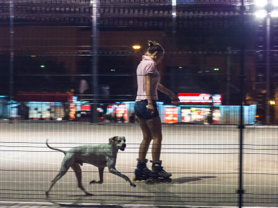 Rollerblading the Dog - FrankM