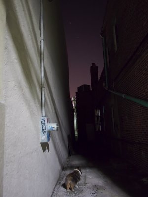 Dark alley  -ArtP