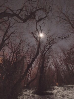 Fairy lights under a full moon  -ArtP