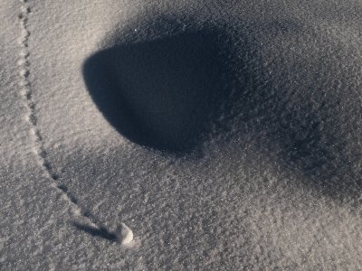 Traces in snow - kleivis