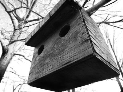 birdhouse by christopher t
