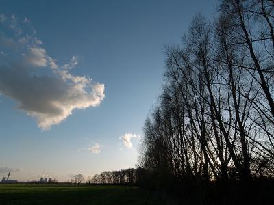 Treelines - Bruce Clarke