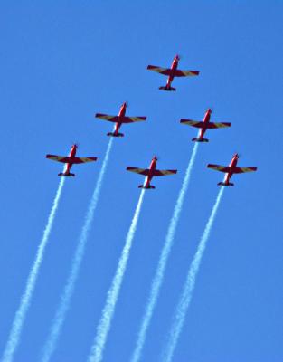 The Roulettes by Nifty