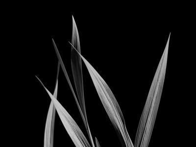 swords by gmc