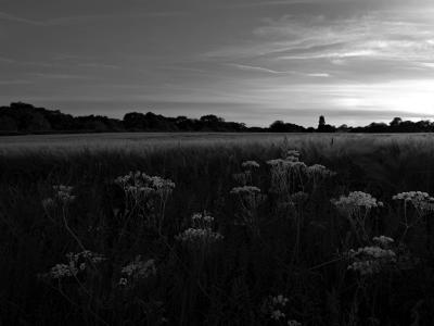 fields by gmc