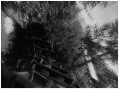 Quicksilvermine ride...by Carloskbco