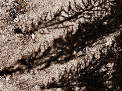 Textures by Flick Merauld