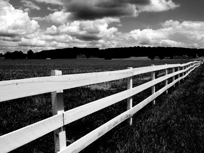 Racing Stripes by EastCoastSnapper
