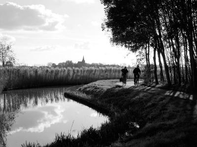 polder path near Delft