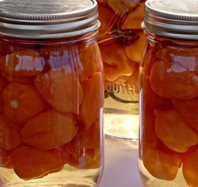 pickled peppers by finches50