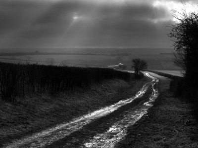 Passing Showers  - Colin