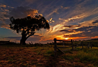 Lysterfield Park sunset by Dennis