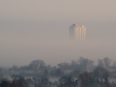 Mist Rising - Colin