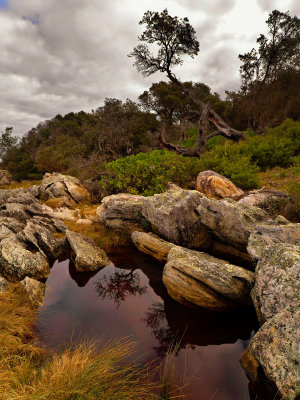 Cape Conran rockpool by Dennis