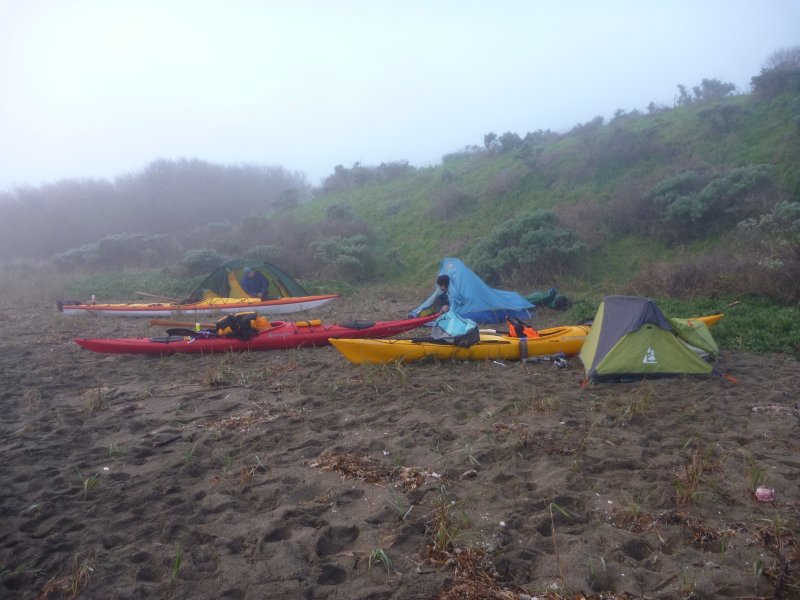 tomales17.jpg