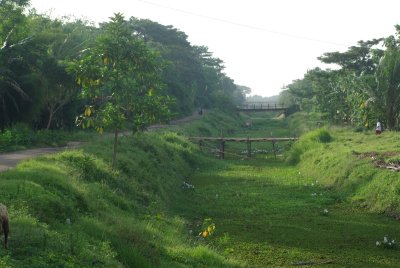 balaraja-kronjo51.jpg