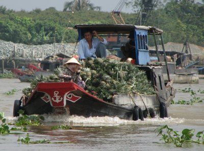 Mekong Delta