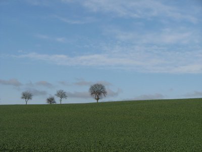 IMG_7628.jpg