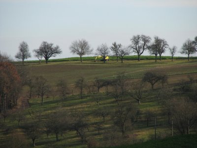 IMG_7651.jpg