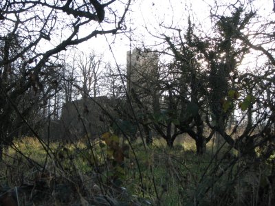 IMG_7712.jpg