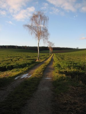 IMG_7752.jpg