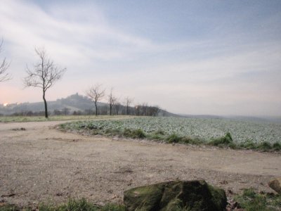 Sinsheim DE