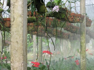 Saigon 2007