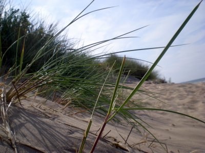 Cabourg