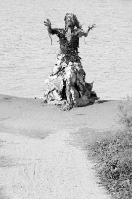 A driftwood woman