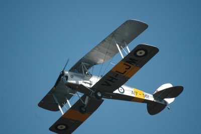 DSC_4506.jpg