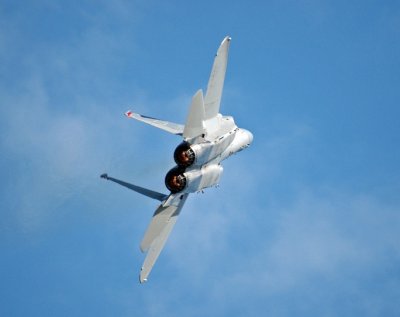 DSC_4693.jpg