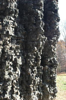 Stormking19.jpg