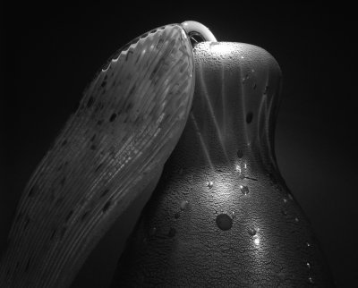 g4/07/617007/3/134316490.HYrjtkGE.jpg