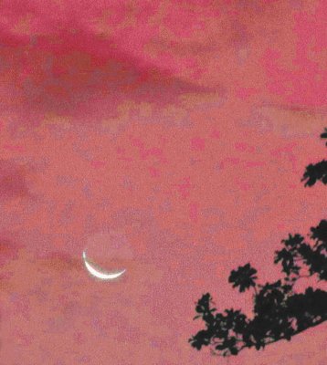 clouded moon (p: Foliate Oak)