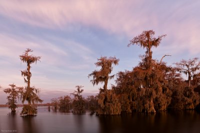 LakeMartin_101220_16-Edit.jpg