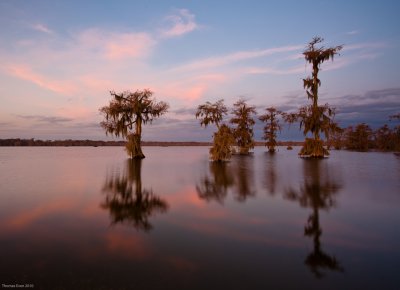 Louisiana 2010