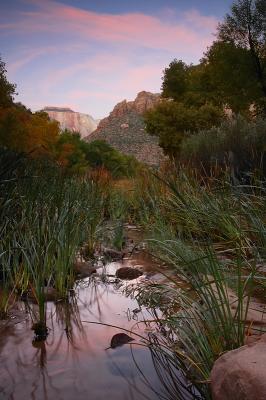 Zion National Park #006