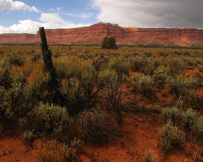 Utah Roadside