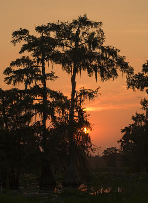 Louisiana Sunset.jpg