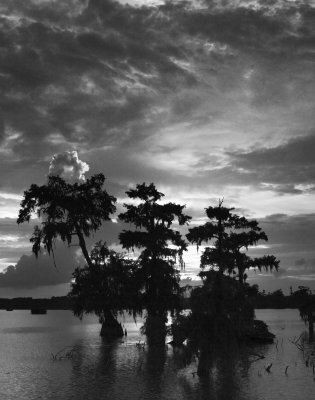 Cypress Sunset 07-28-06 #014